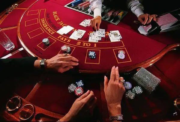 Ringkasan tips pengguna y81 di beranda